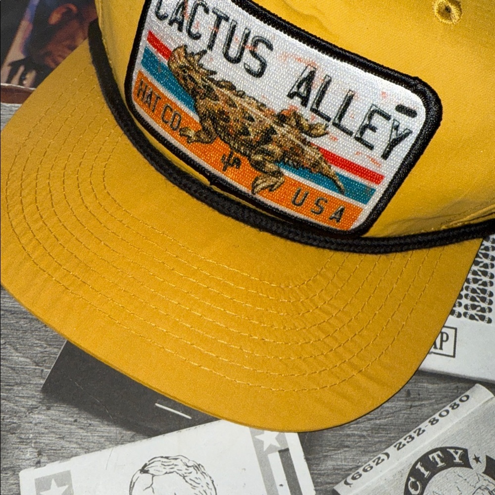 🌵 🦎 🌵 • 🧢 Cactus Alley x Chill Vibes 🧢 •  🦎 🌵 🦎